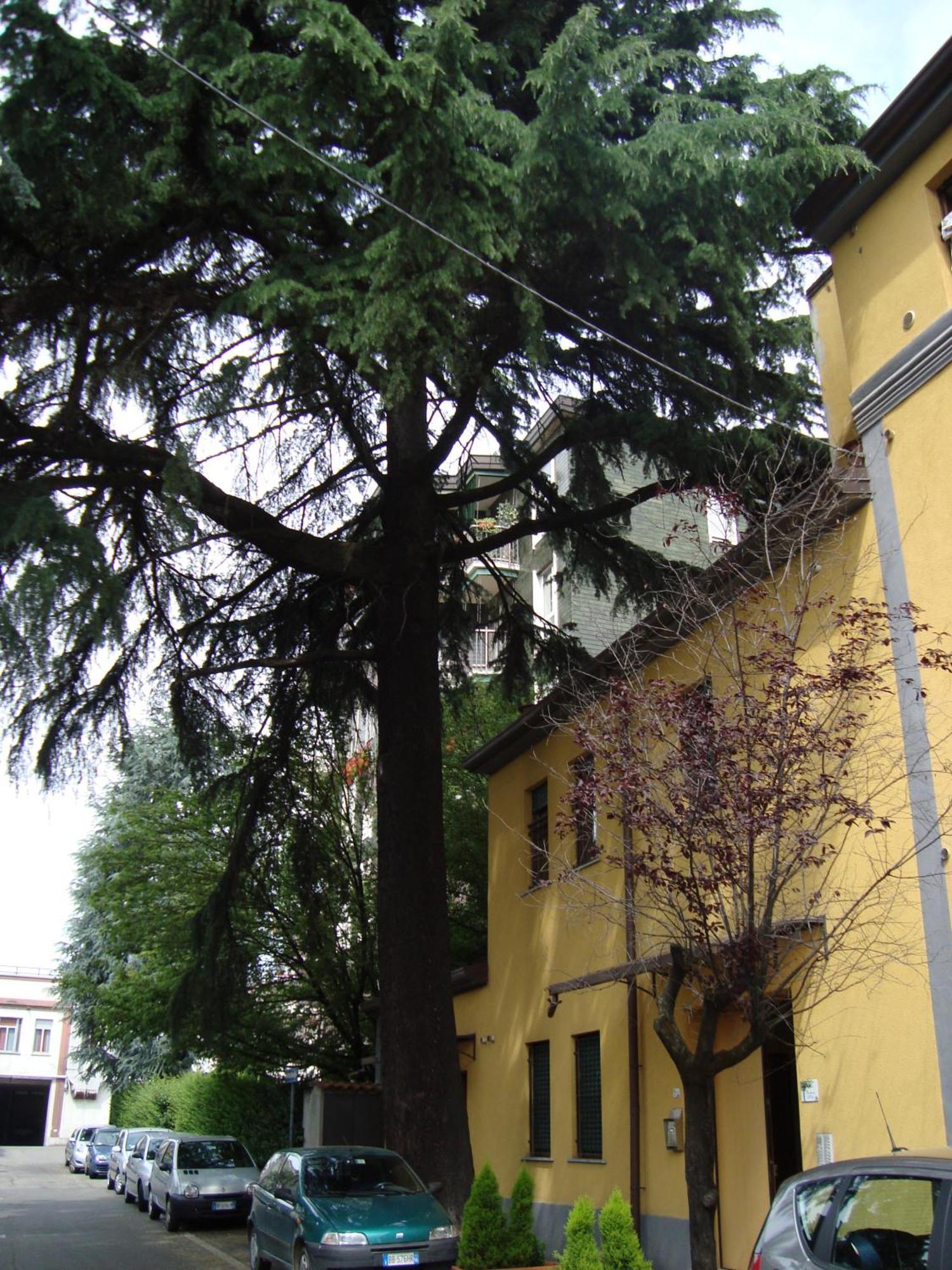 Residence Il Pino Σαρόνο Εξωτερικό φωτογραφία